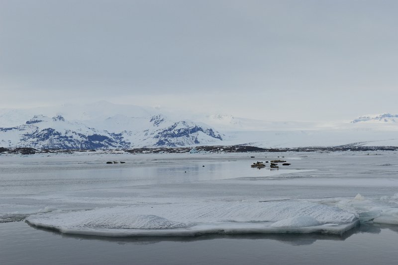 Jokulsarlon (15).JPG